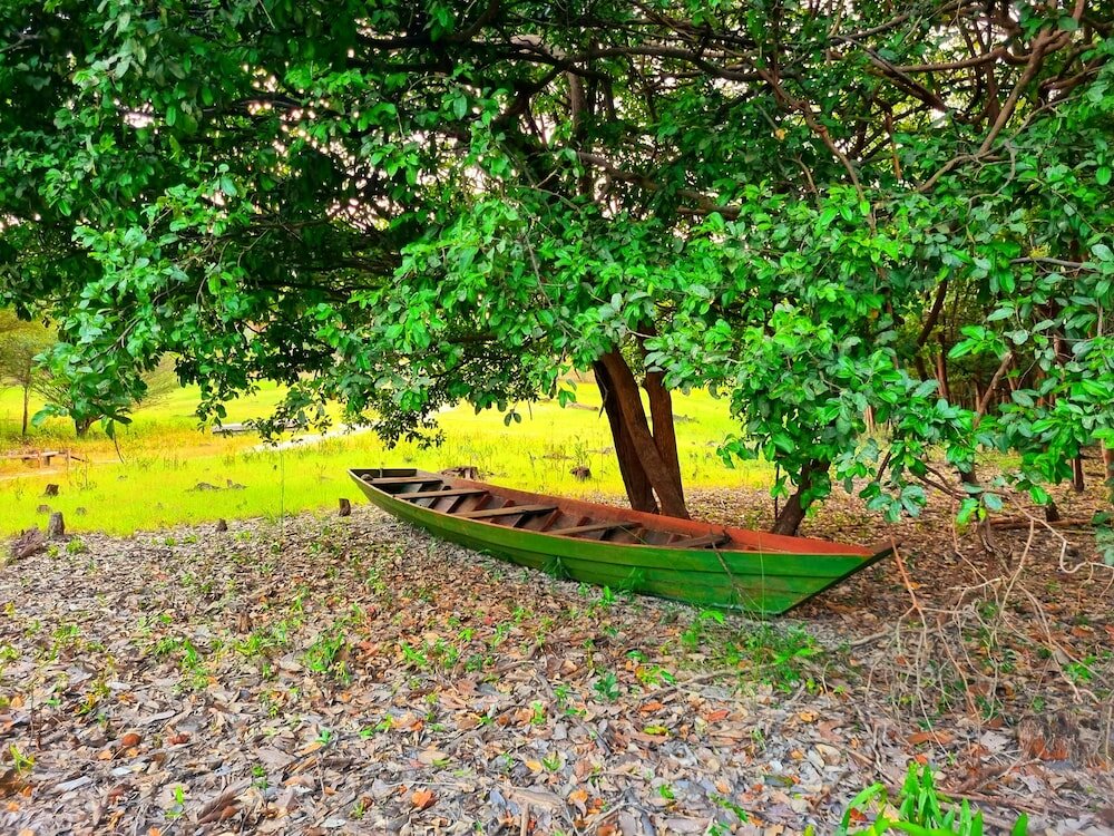 Фото Ponta Poranga Jungle Lodge