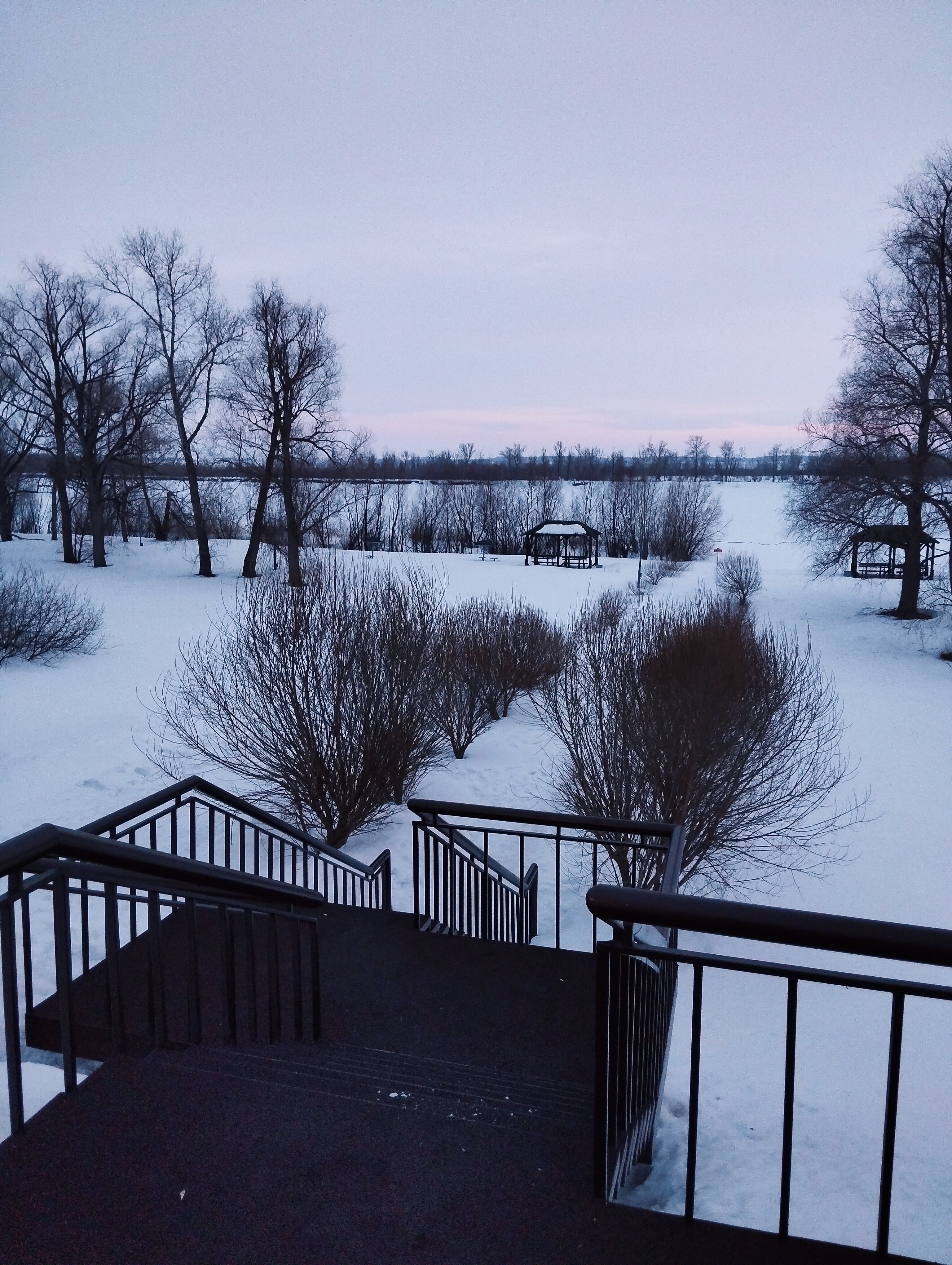 Фото Евромед