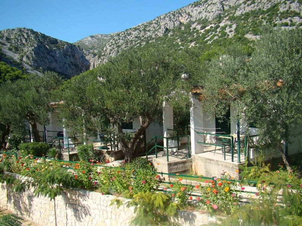 Фото Magic - 150 m From Beach - A8-green