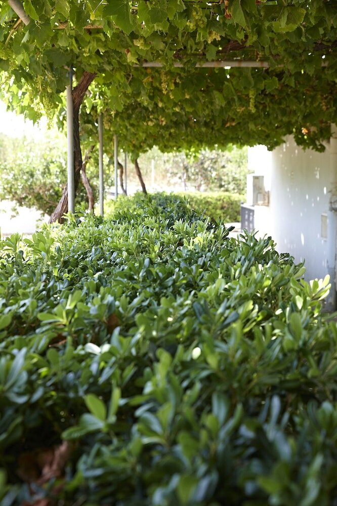 Фото Elea Terra Hotel