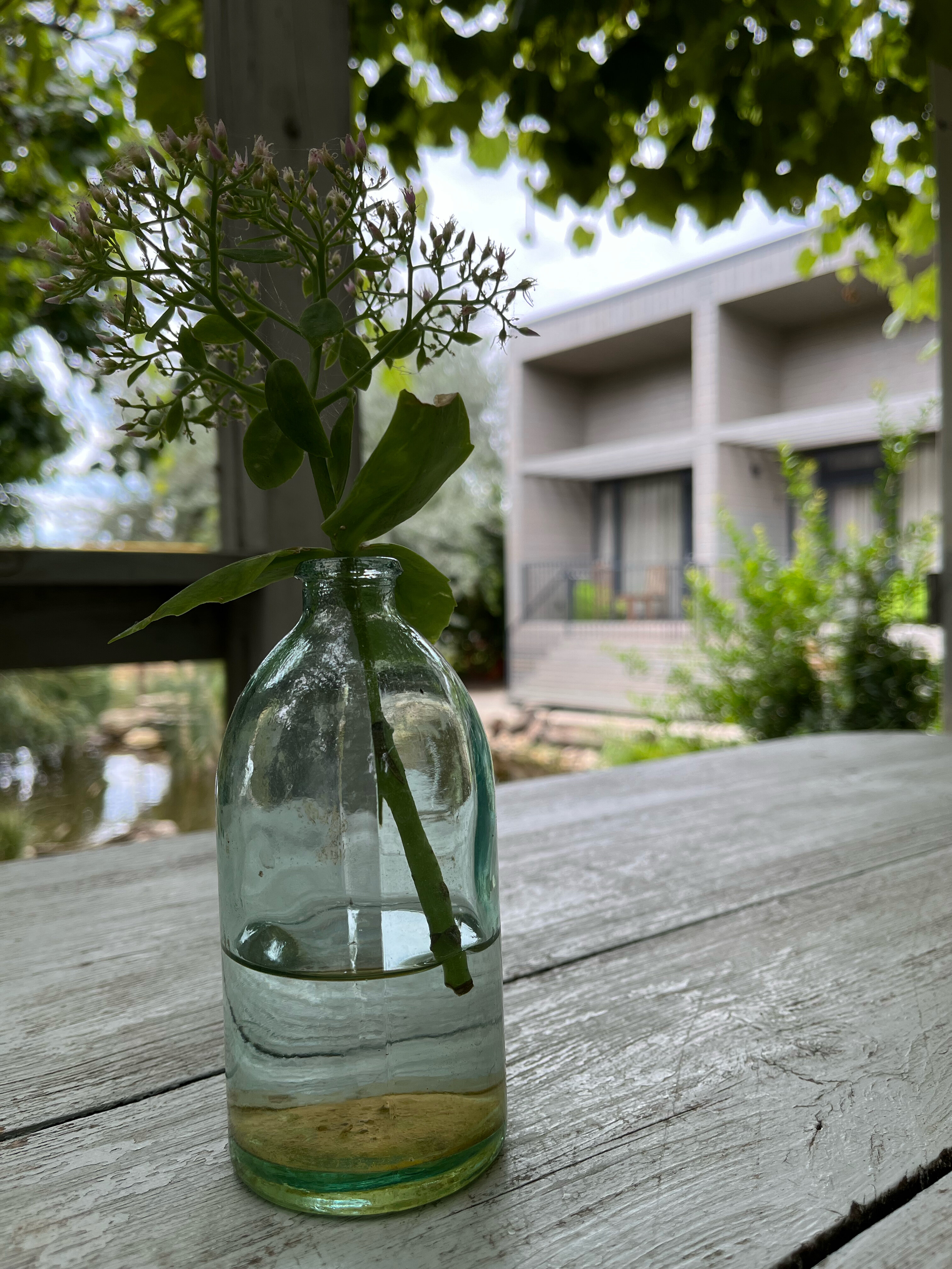 Фото Blaga House design dacha