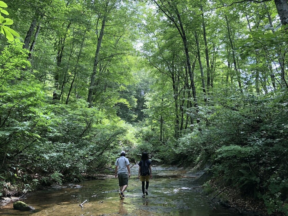 Фото Mori no Bunko Fuzawa