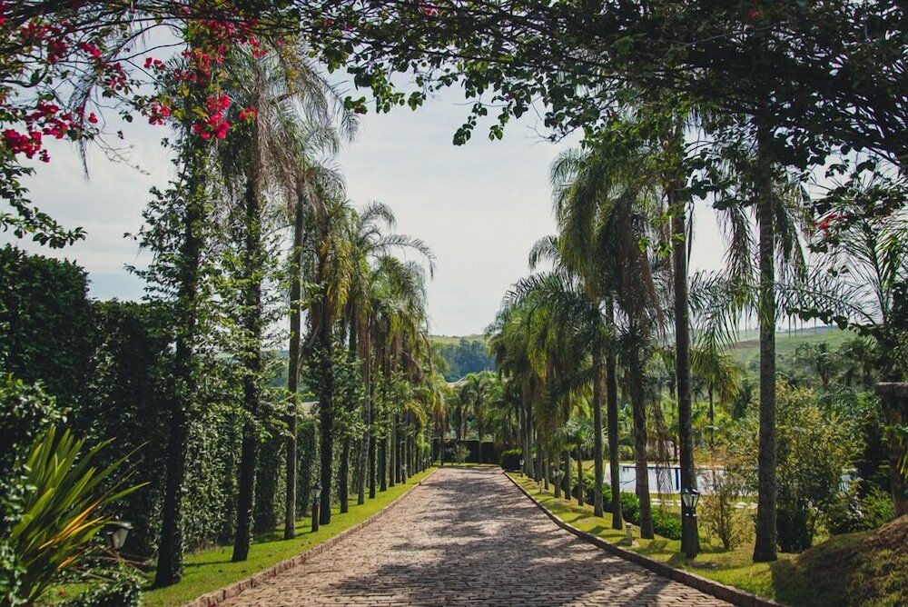 Фото Hotel Villa Dangelo