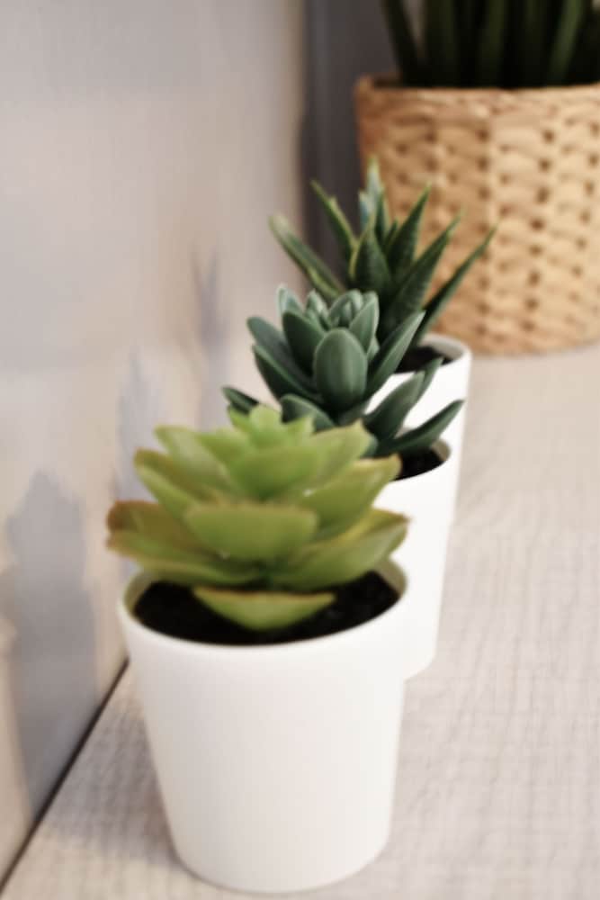 Фото Antigoni Villas