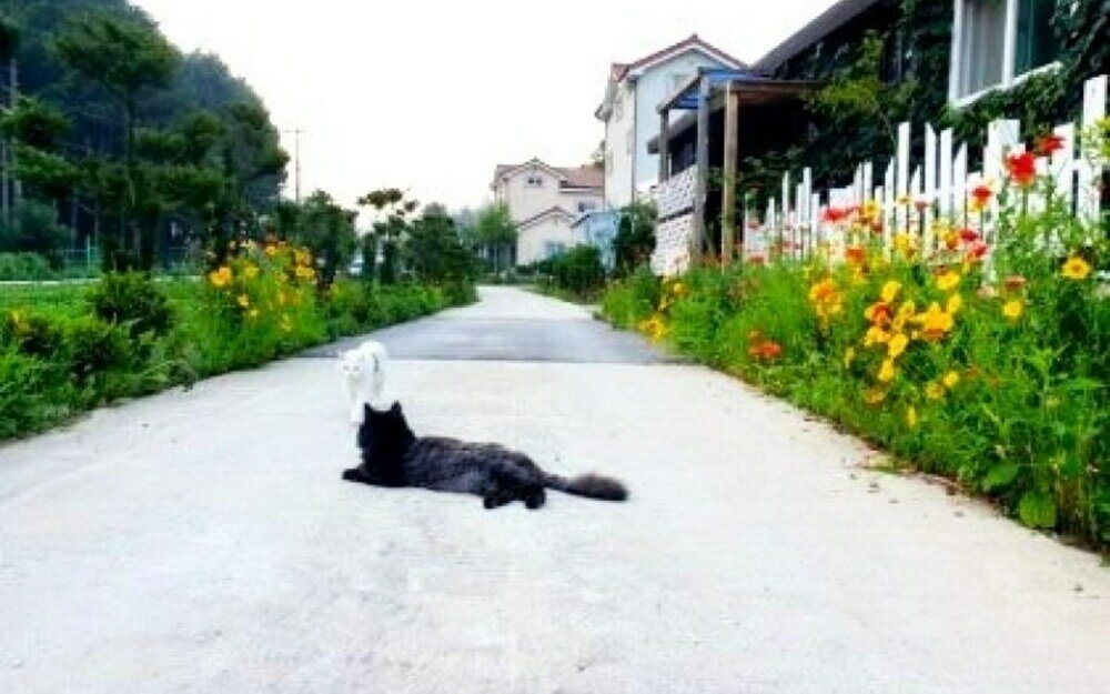 Фото Jeongseon Daon Pension