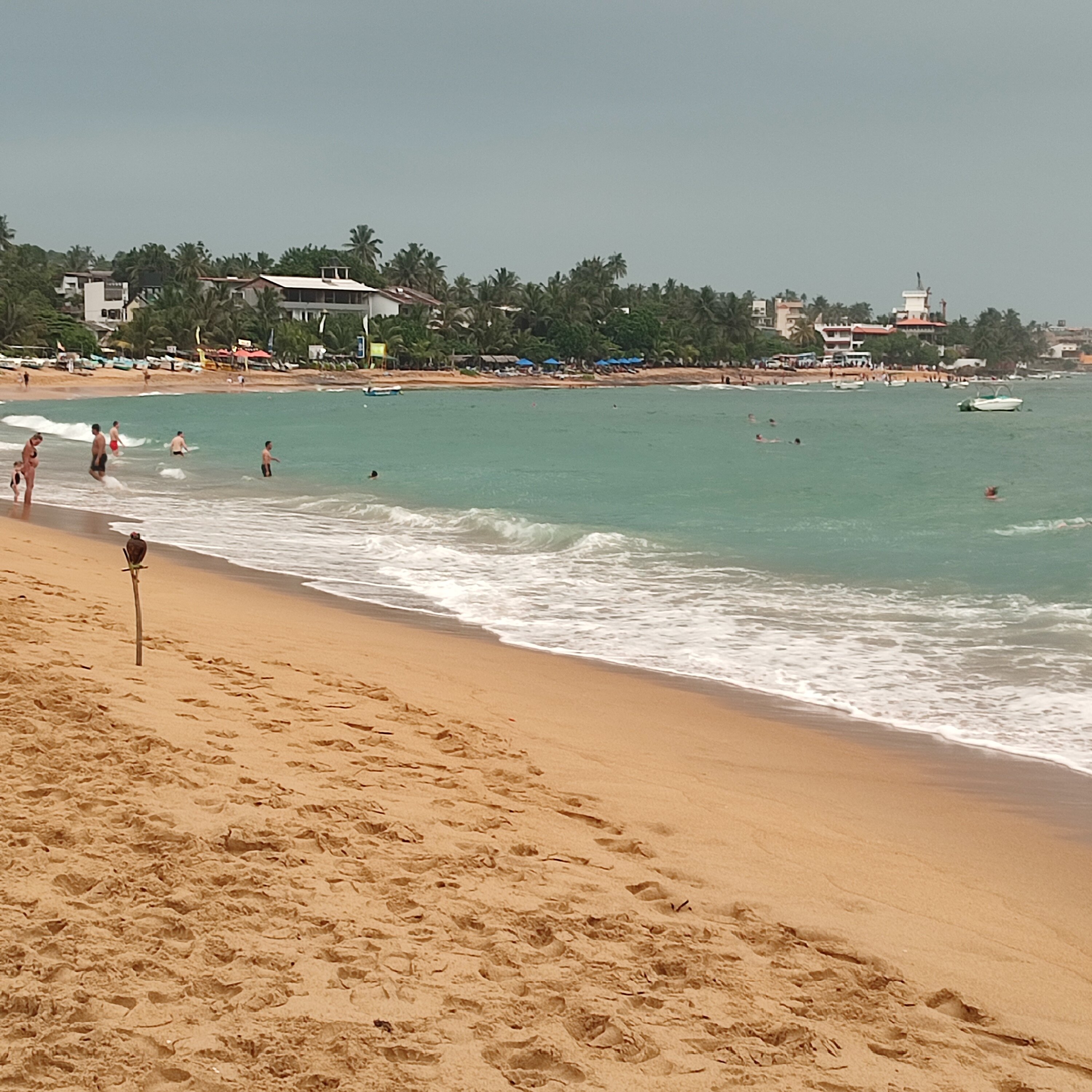 Фото Sea View Beach Unawatuna Hotel
