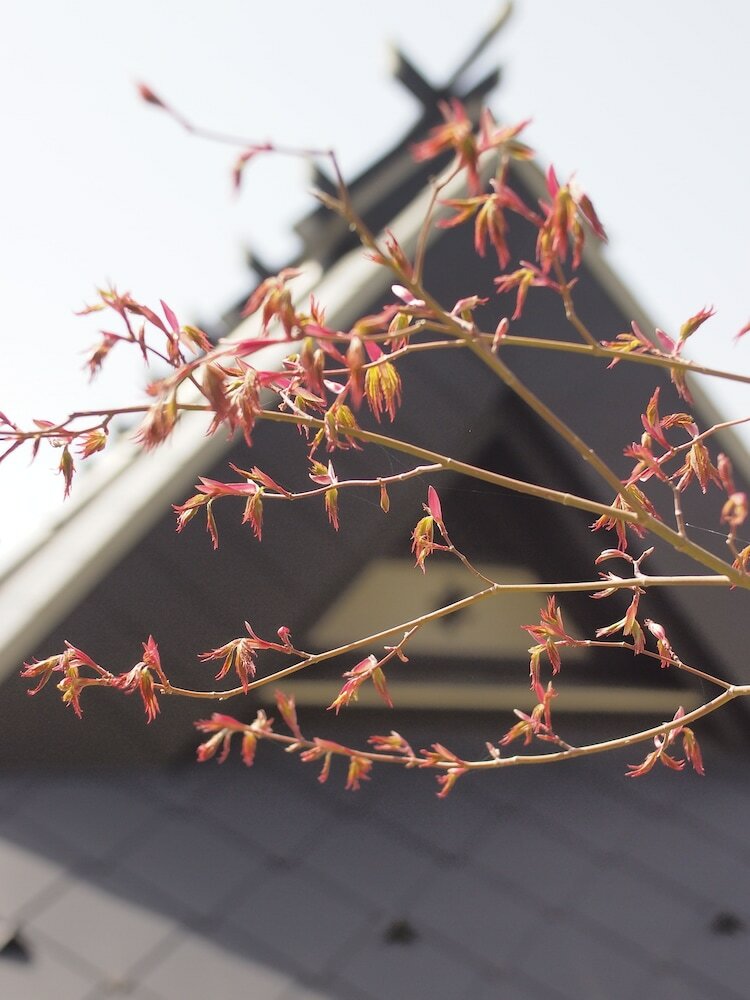 Фото Bishamon House