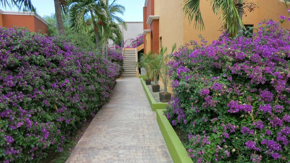 Фото Hotel Palmas De Cortez