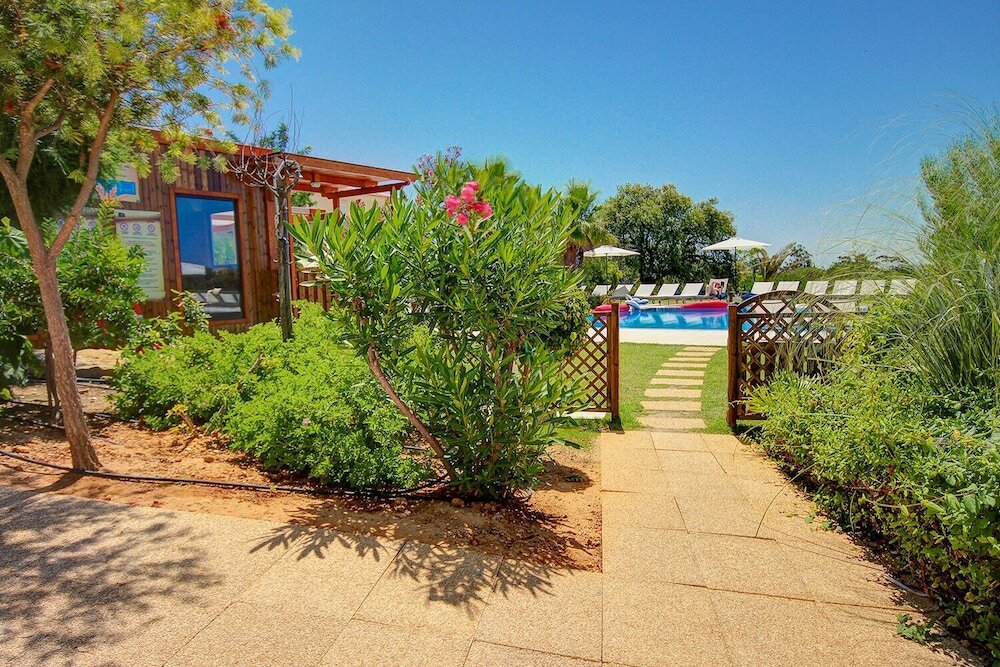 Фото Pinheiros da Balaia