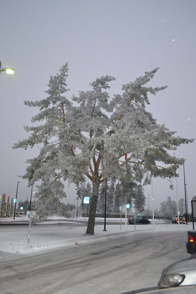 Фото Thon Partner Elgstua