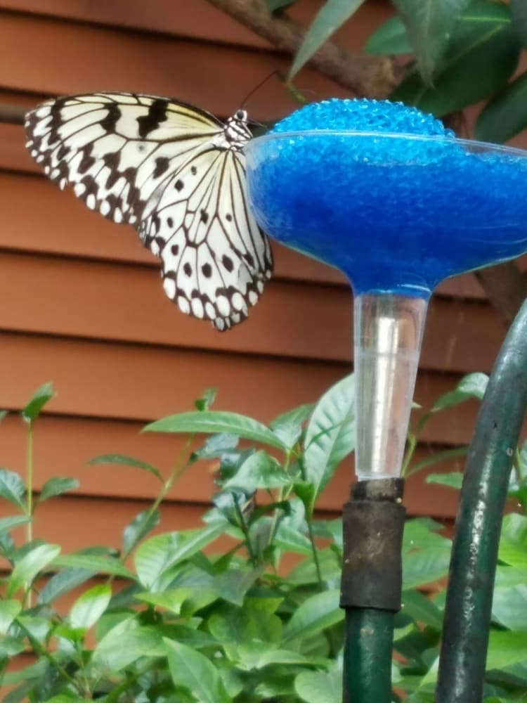 Фото Centennial House