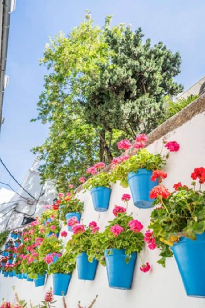 Фото Óbal Urban Hotel