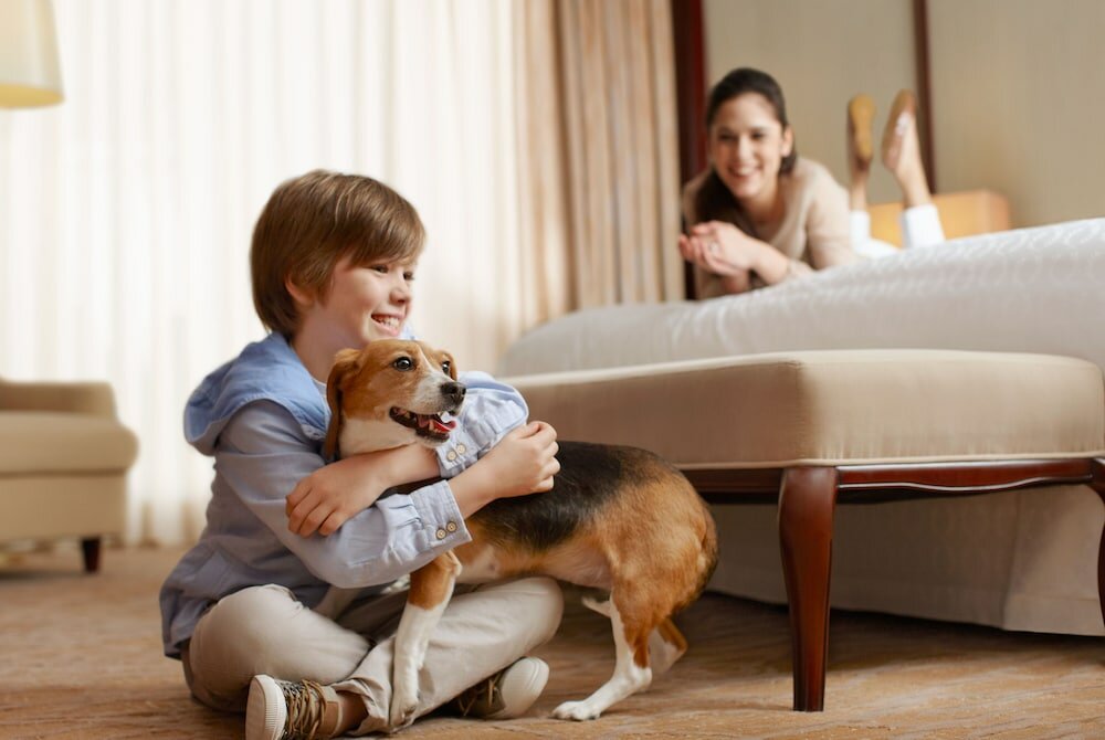 Фото Best Western Parkway Hotel Toronto North