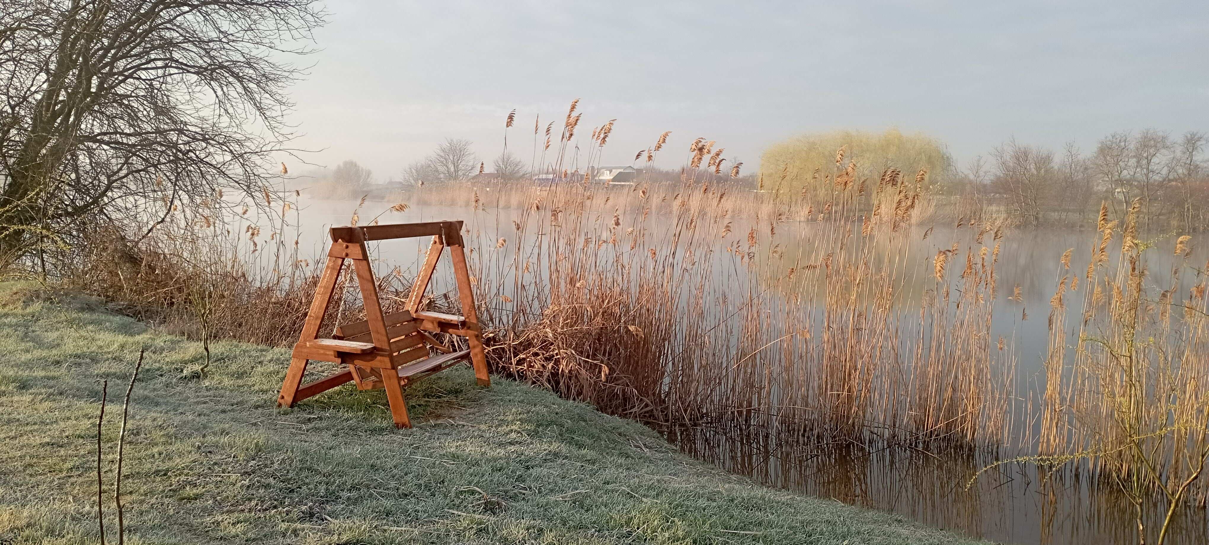 Фото Река лес