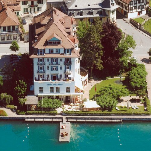 Гостиница Hotel Restaurant Bellevue au Lac