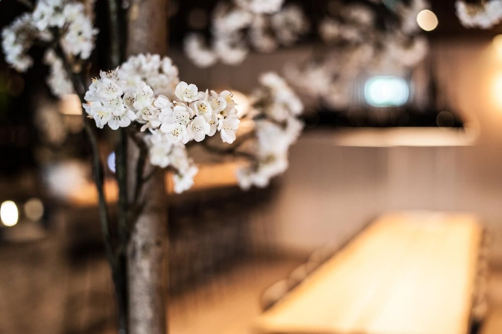 Фото Hotel Hoogeveen