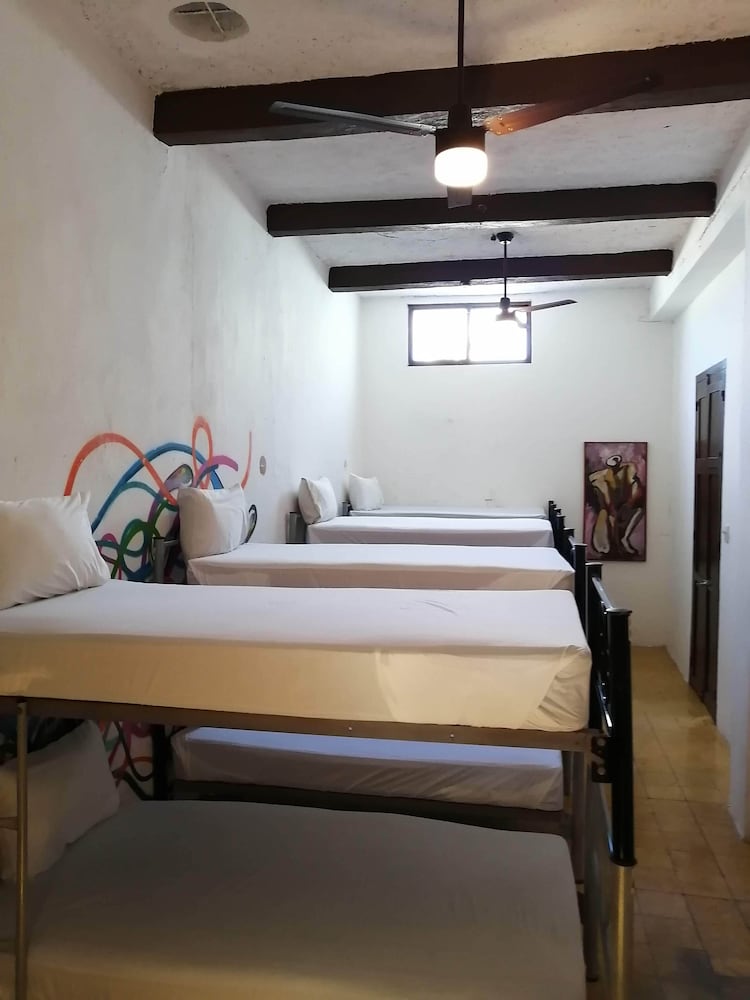 Фото Siesta Fiesta Hotel & Hostel