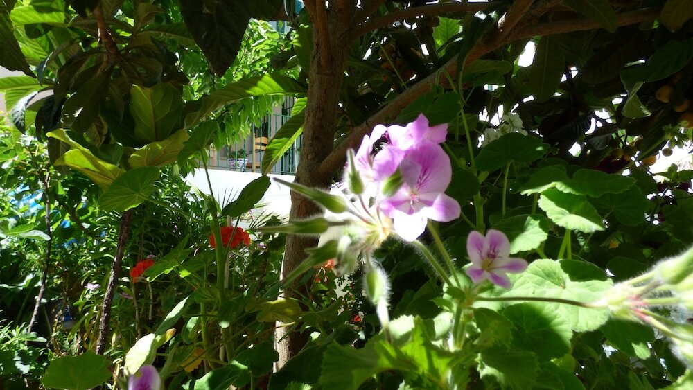 Фото Hostal Campo Nuevo