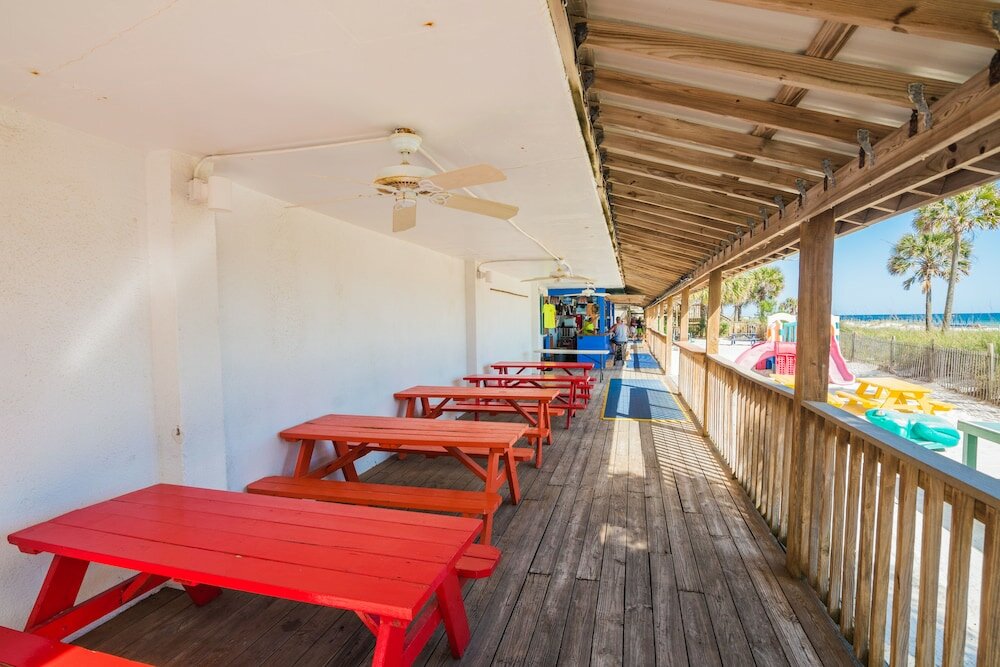 Фото Osprey on the Gulf