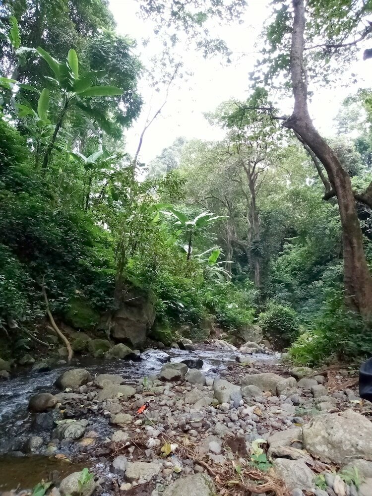 Фото Ifulong cultural tourism homestay