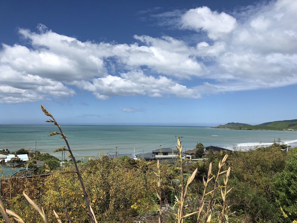 Фото The Kaka Point Motels