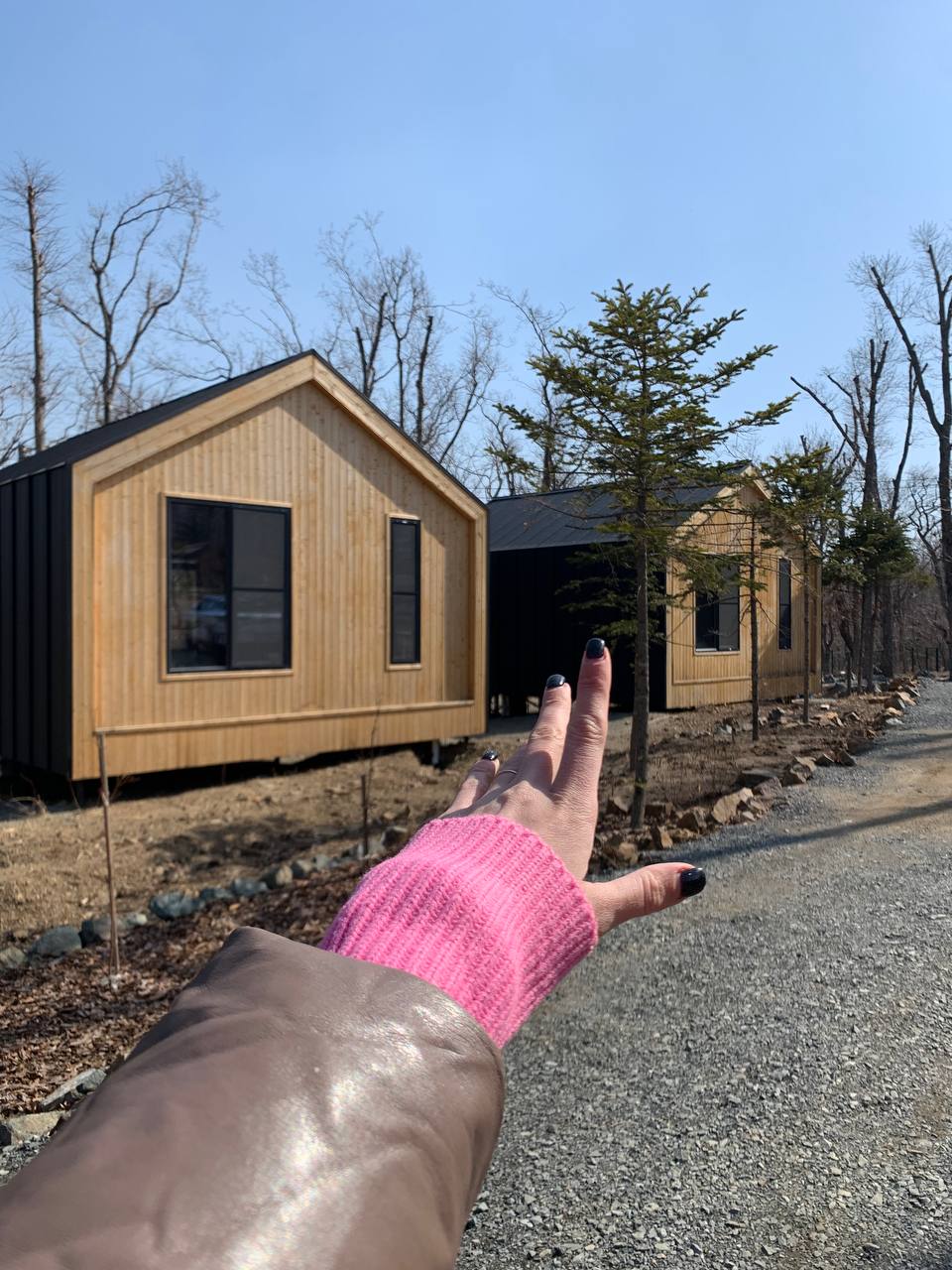 Фото Pine Family