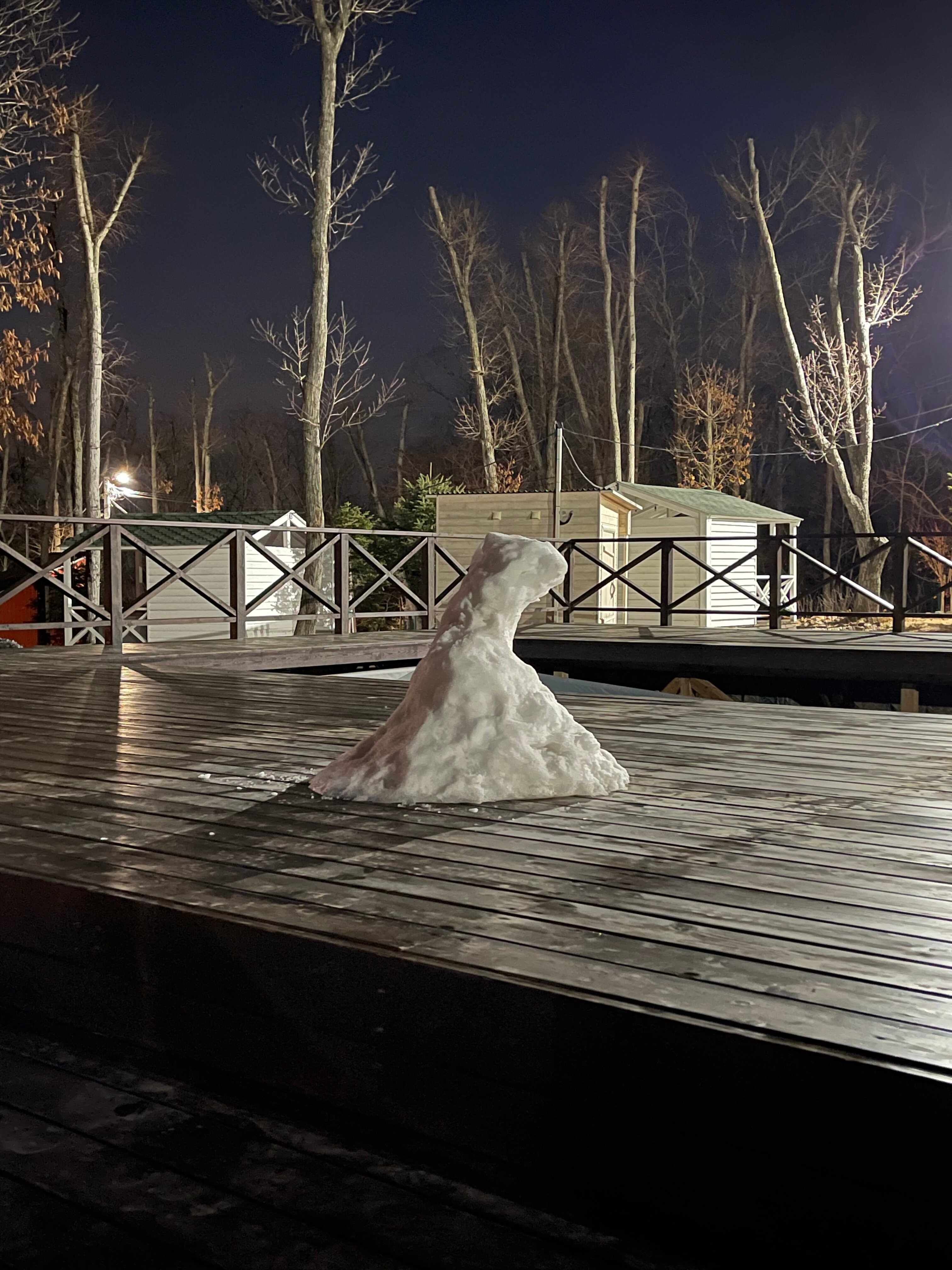 Фото Pine Family