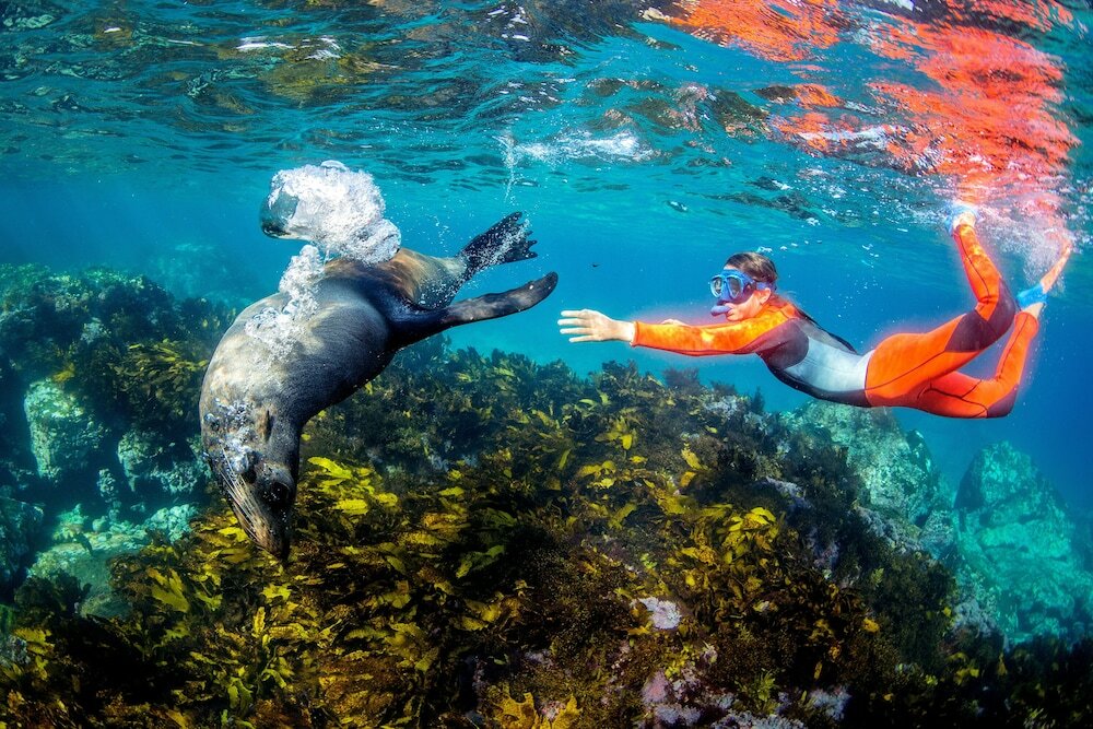 Фото Big4 Narooma Easts Holiday Park