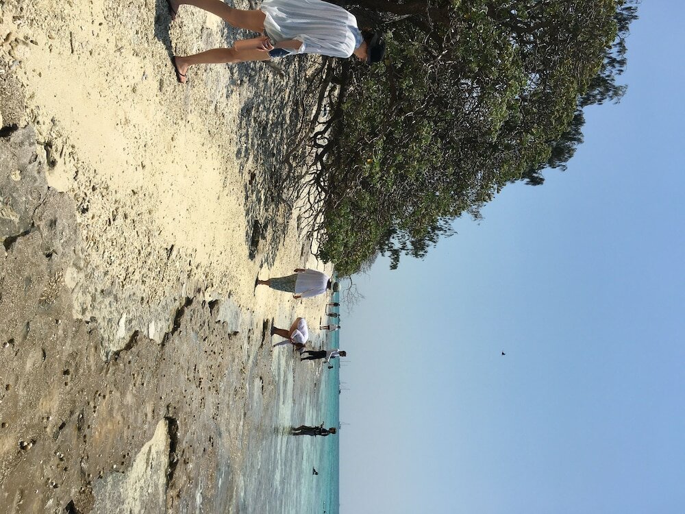 Фото Sunbird Gardens