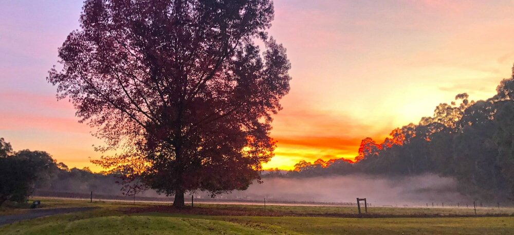 Фото Valley Farm Vineyard Cottages