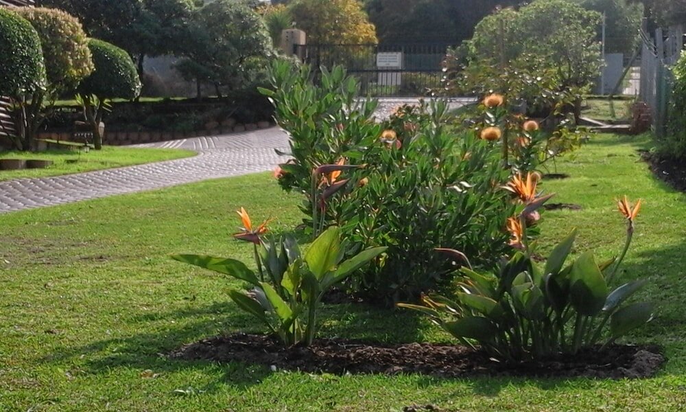 Фото Horizon Cottages