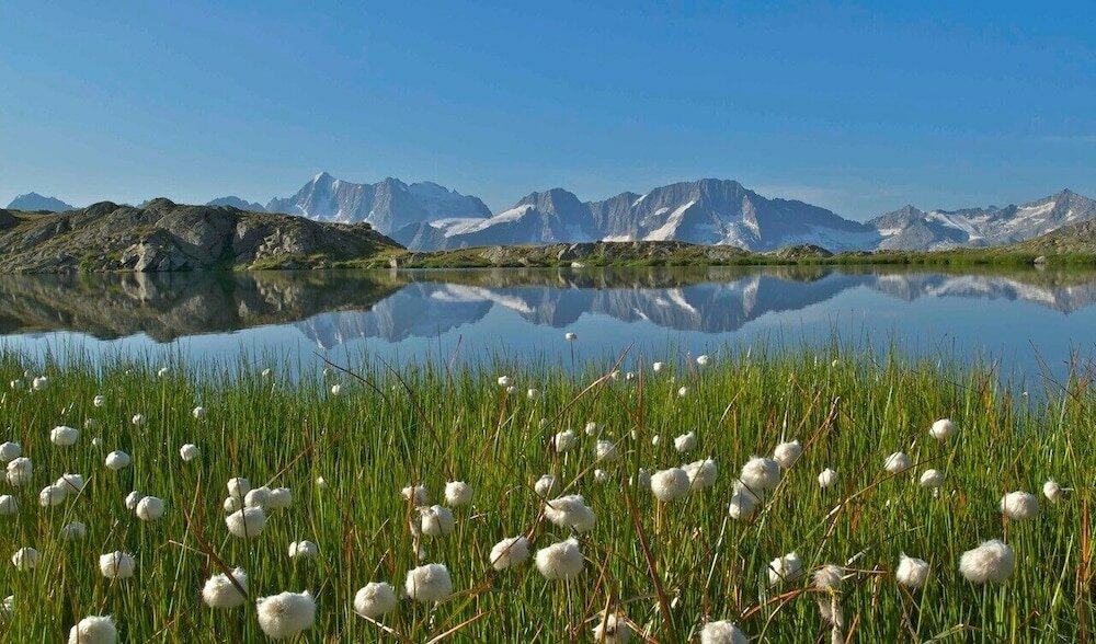 Фото Hotel Chalet Al Foss