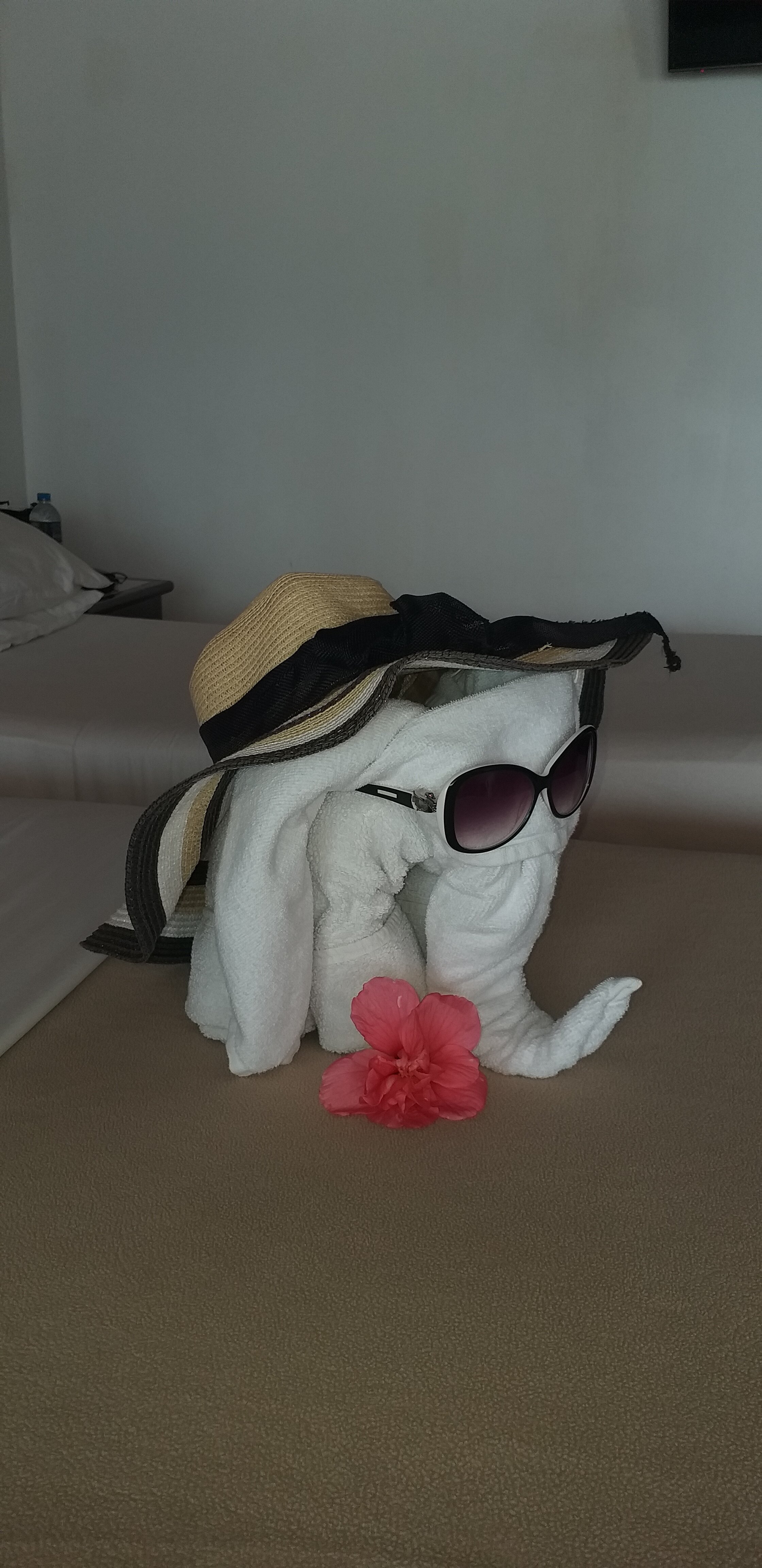 Фото Coral Sands Hotel