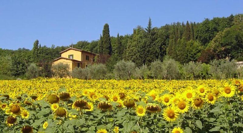 Гостиница Agriturismo i Casali del Trebbiolo
