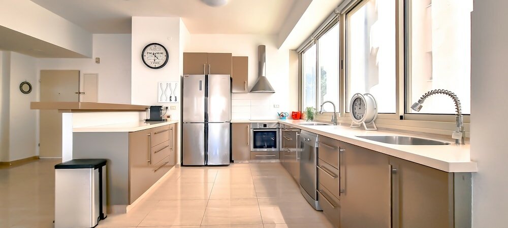 Фото Dizengoff Anemone