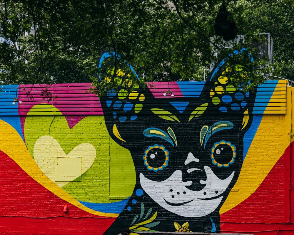 Фото Hyatt Centric Midtown Atlanta