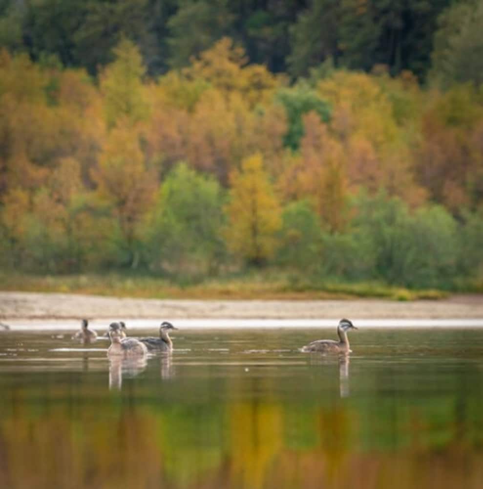 Фото Las Balsas Relais & Chateaux