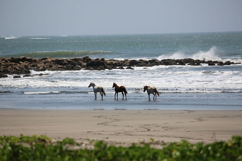 Фото Tapas And Surf