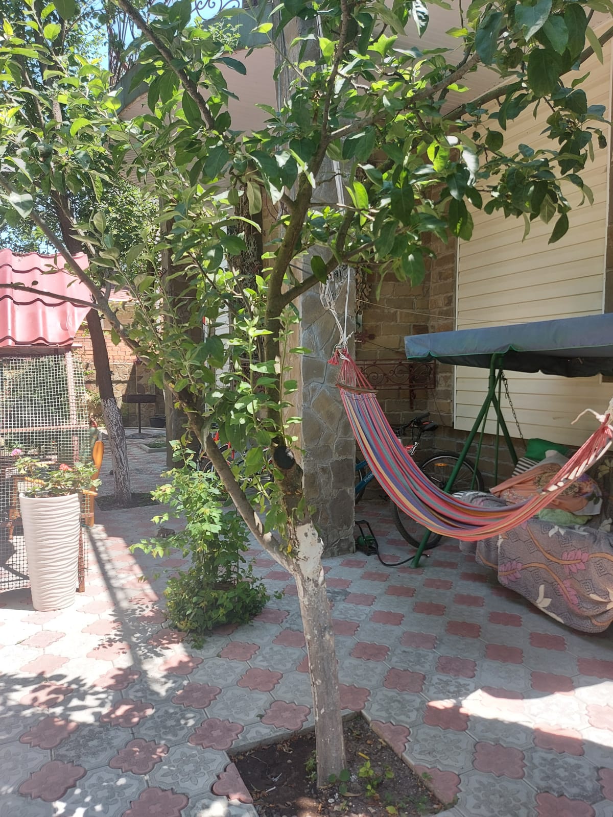 Фото Александровский сад у моря