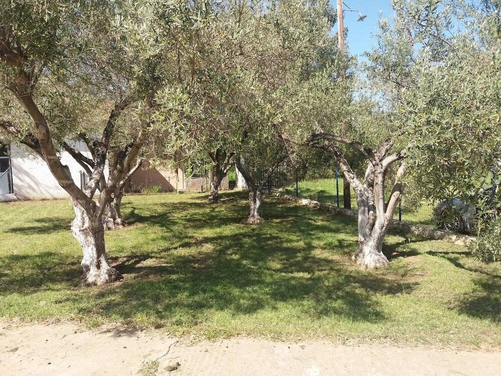 Фото ''Mary's House'' Entire residence Olympiada Halkidiki Near to See 200m!