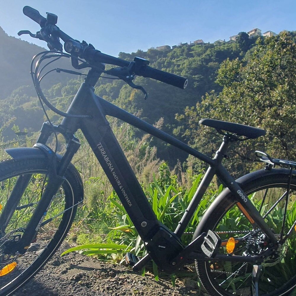 Фото Terrabona Nature & Vineyards