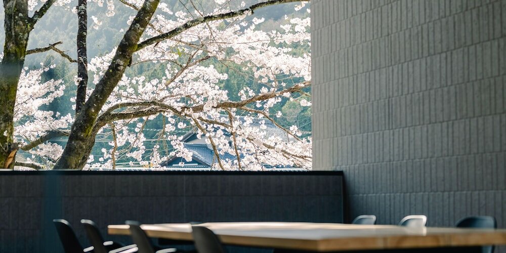 Фото Tef Tanıgumı