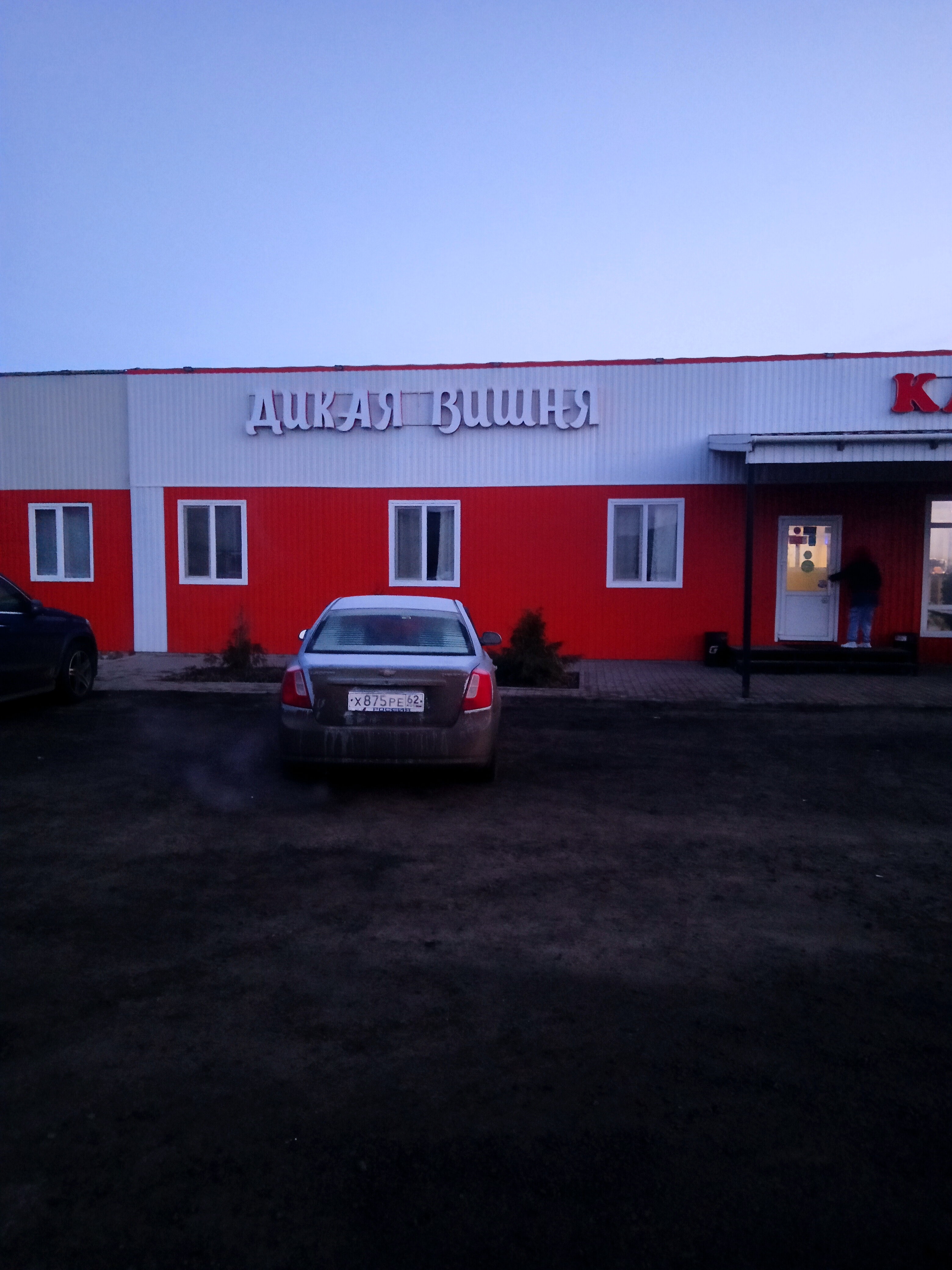 Фото Дикая Вишня