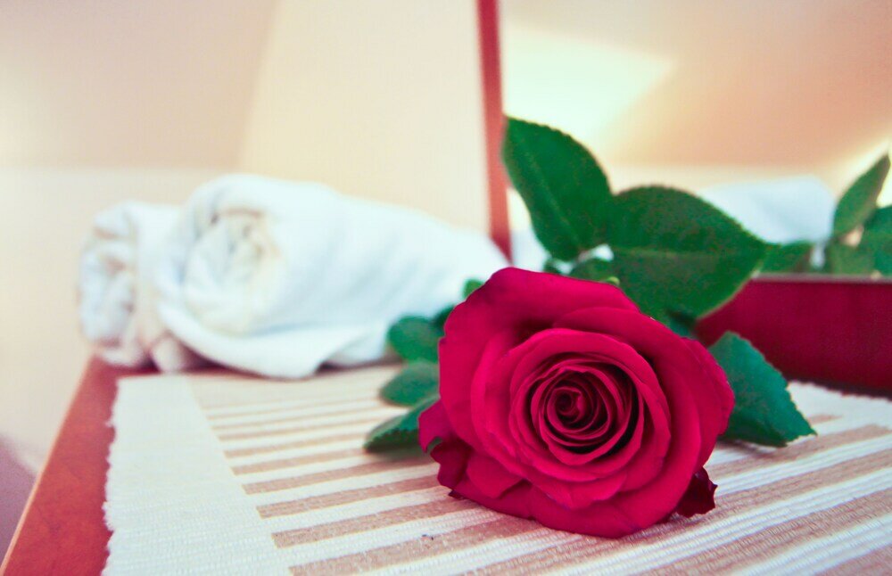 Фото Villa Midea