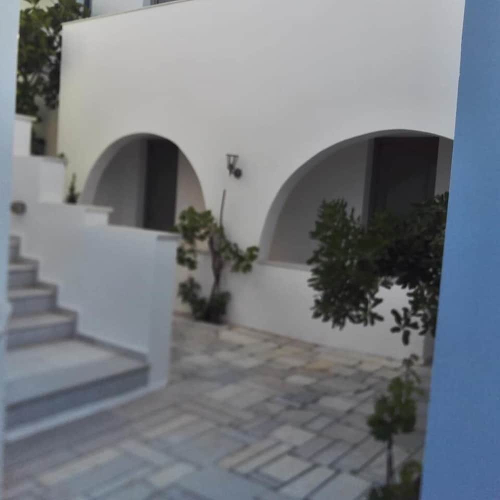 Фото Naxos Harmony