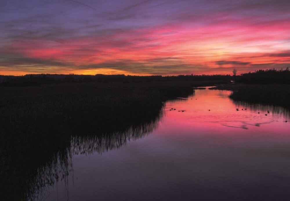 Фото Hotel Moorbadstuben