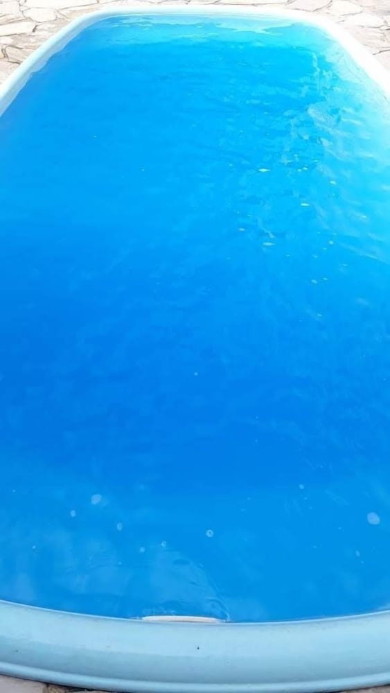 Фото Vintage Pousada Hostel