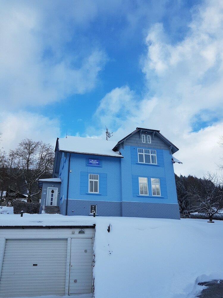 Фото Blue Pension