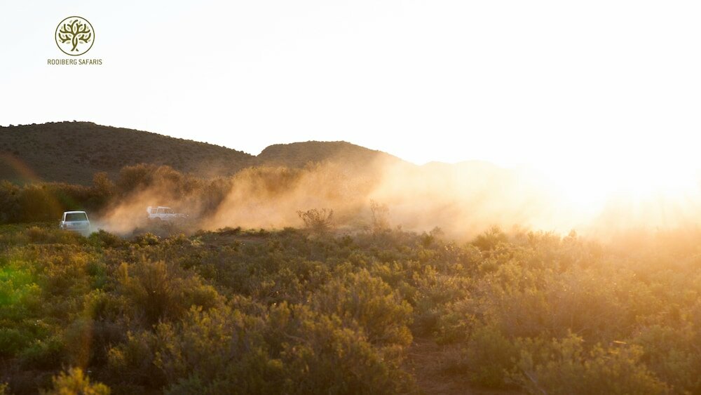 Фото Rooiberg Safaris