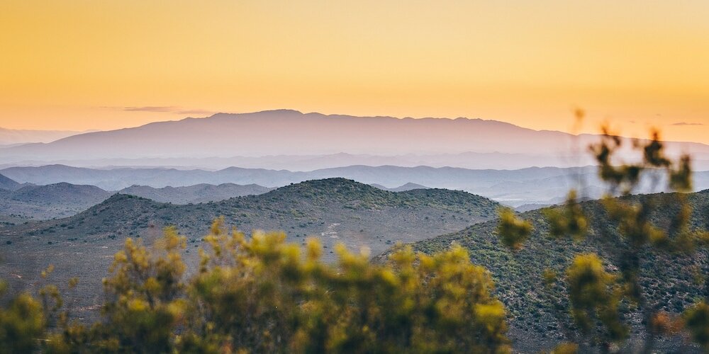 Фото Rooiberg Safaris
